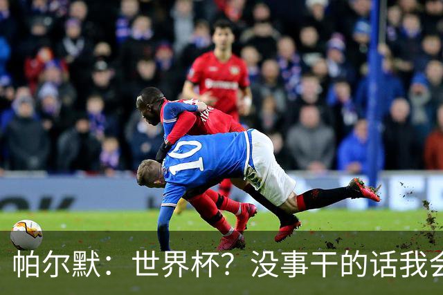 帕尔默：世界杯？没事干的话我会看看，我希望他们能走到最后